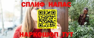 индика Ярославль