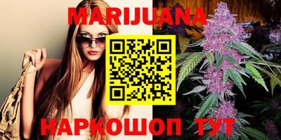 индика Ярославль