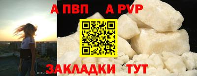 индика Ярославль