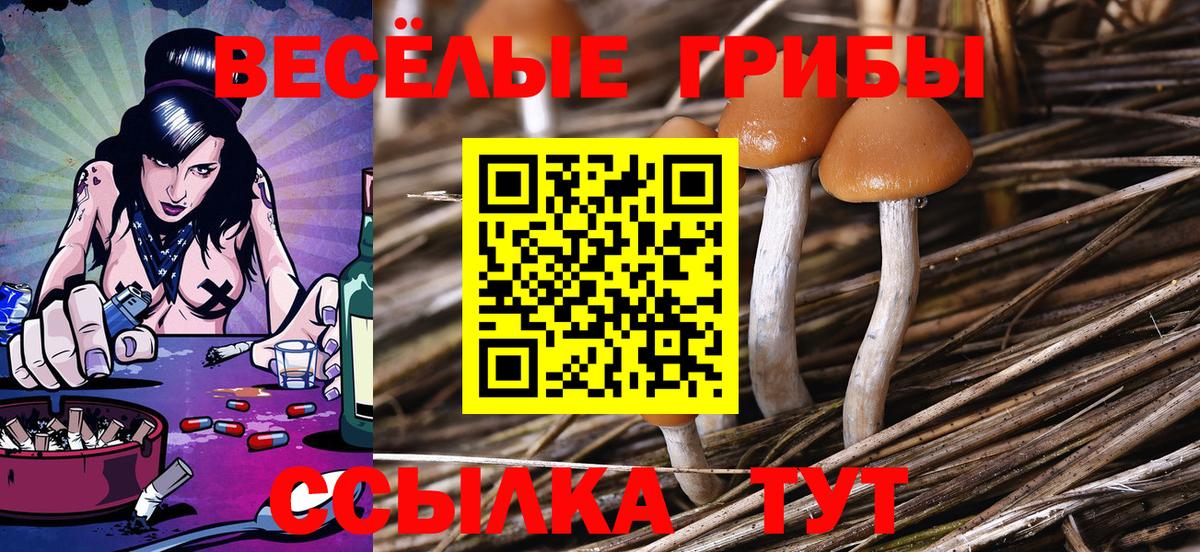 Псилоцибиновые грибы Magic Shrooms  Вход с VPN  Славгород 